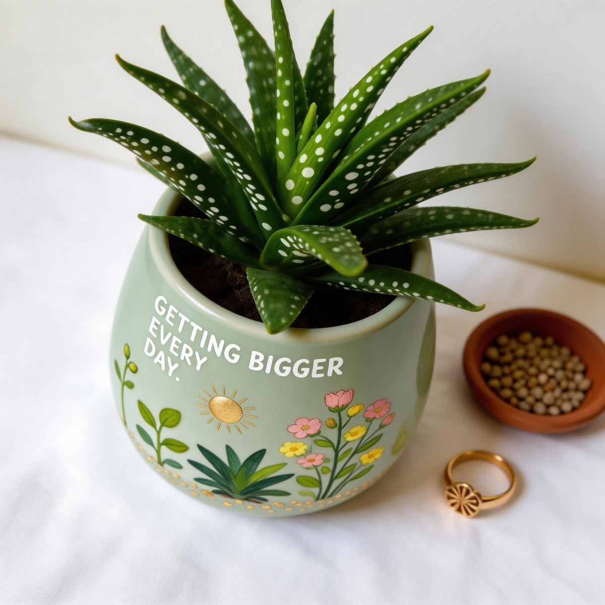 Getting Bigger Planter