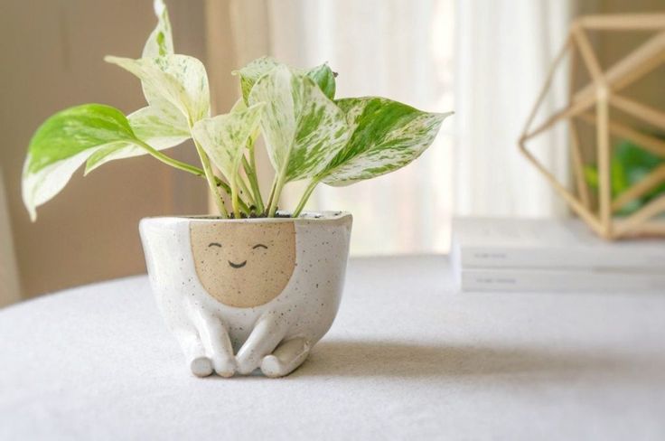Love Pot