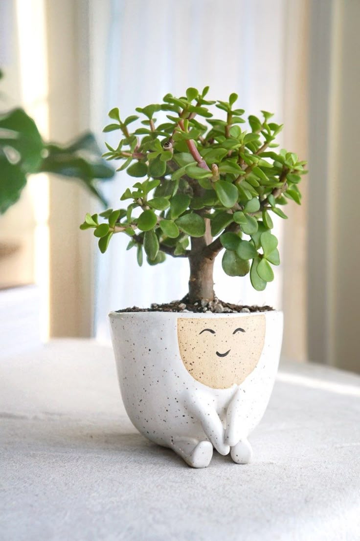 Love Pot