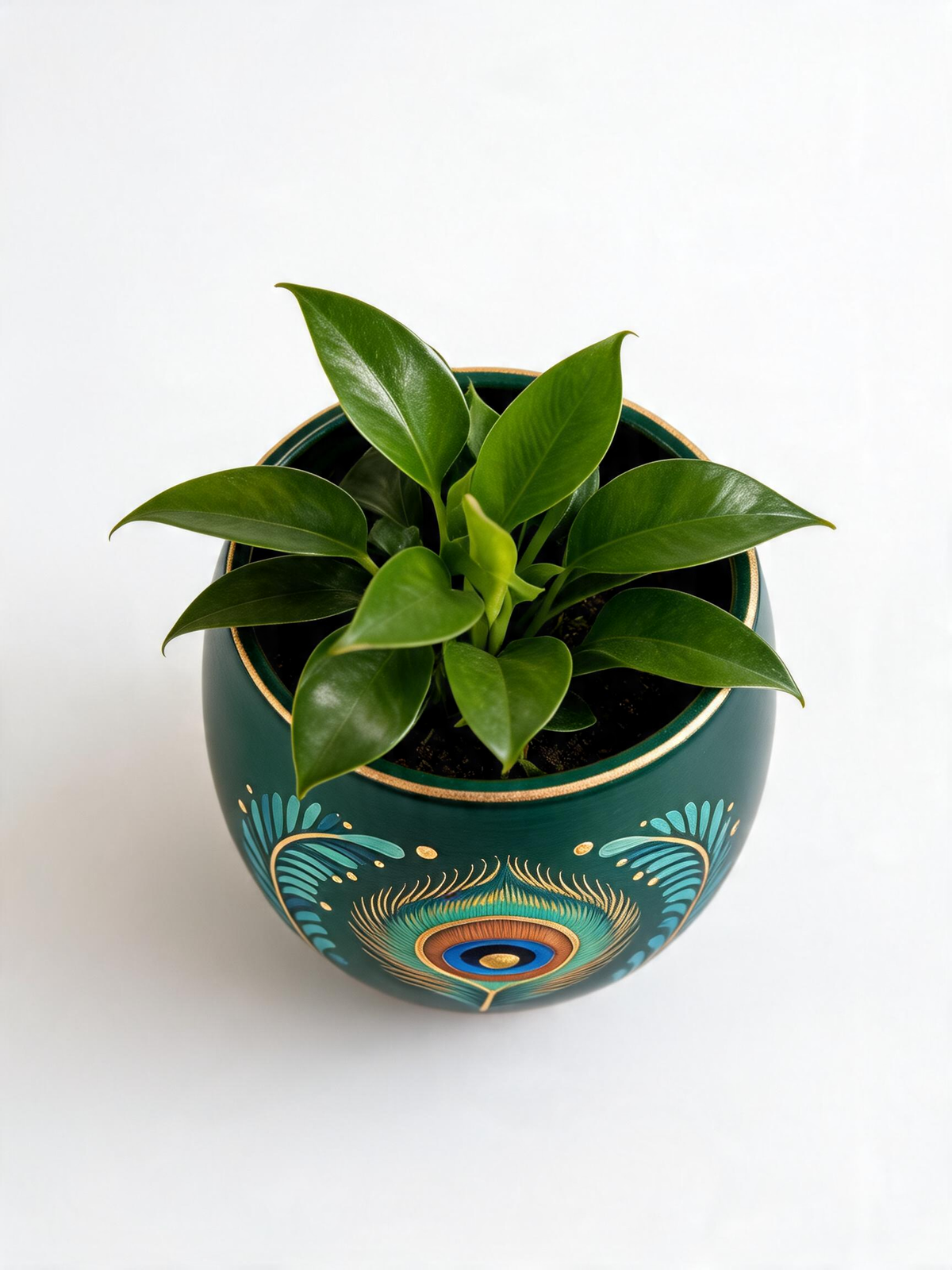 Peacock Green Planter